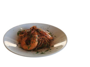 DSCN0701-removebg-preview