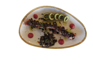 DSCN0710-removebg-preview